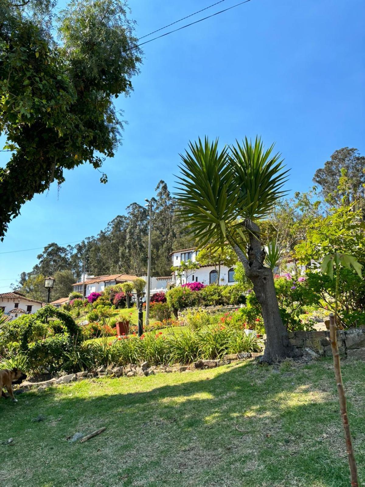 Hotel Puntalarga Nobsa Exterior photo